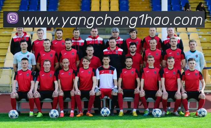 壹号娱乐平台生态图