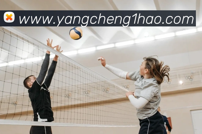 壹号娱乐APP 封面图